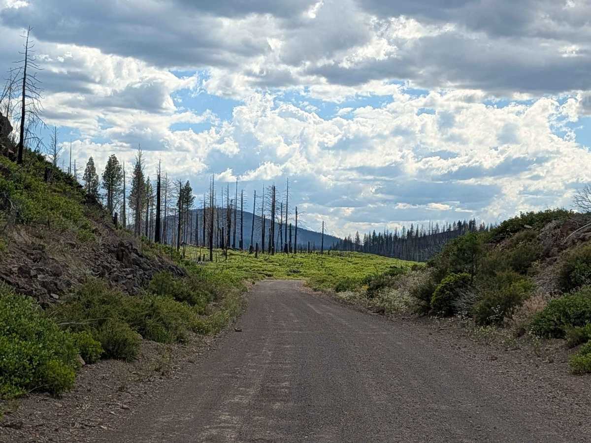 Lava West - FS 44N01 photo 5