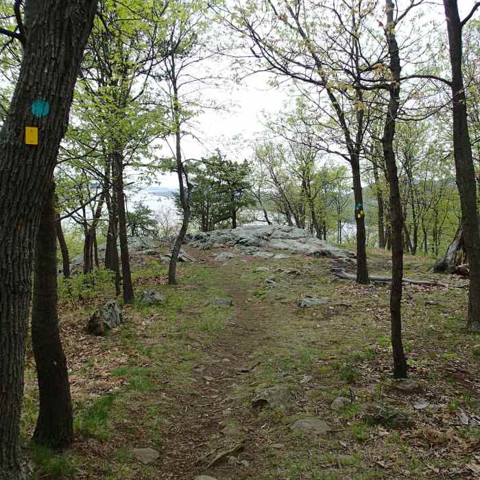 Near Carriage Road