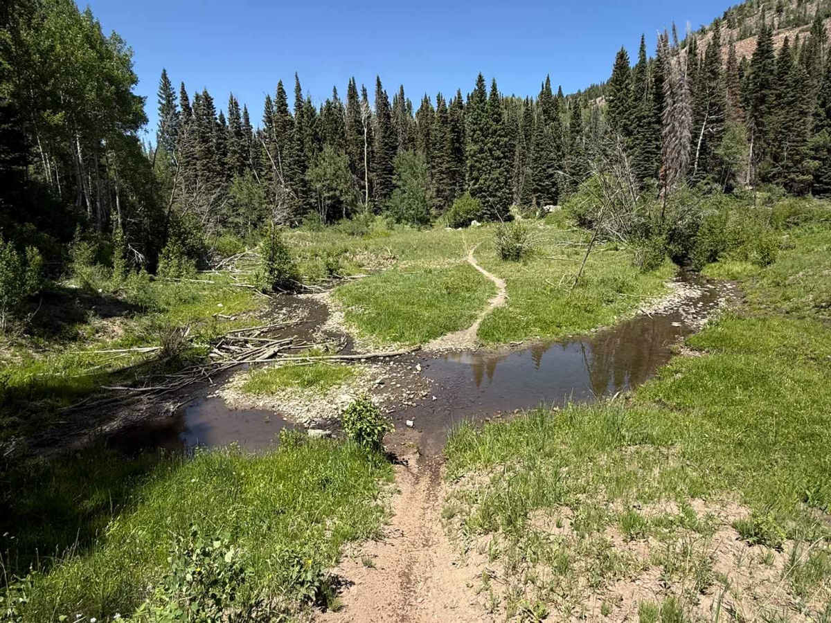 Red Ledges Trail No. 019 photo 2
