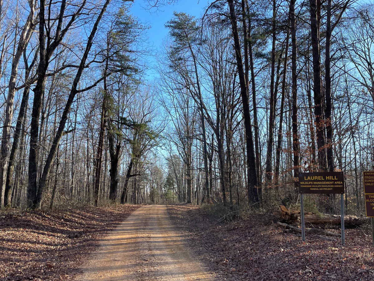 Laurel Hill Road photo 4