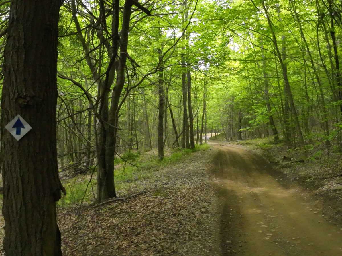 G Blue G7 trail photo
