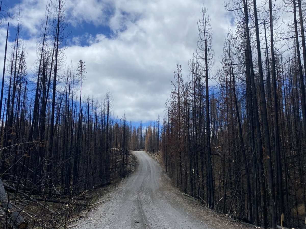 Sheep Creek photo 4