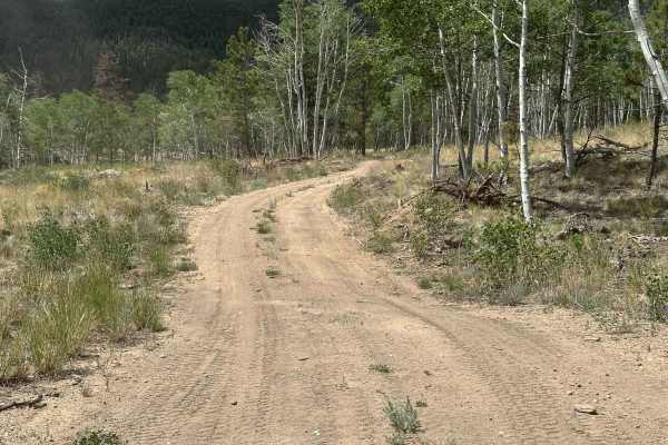 Wedge Road