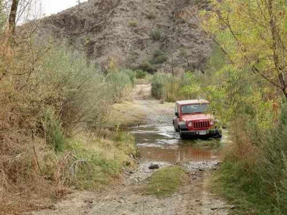 McGuffie Cabin trail photo