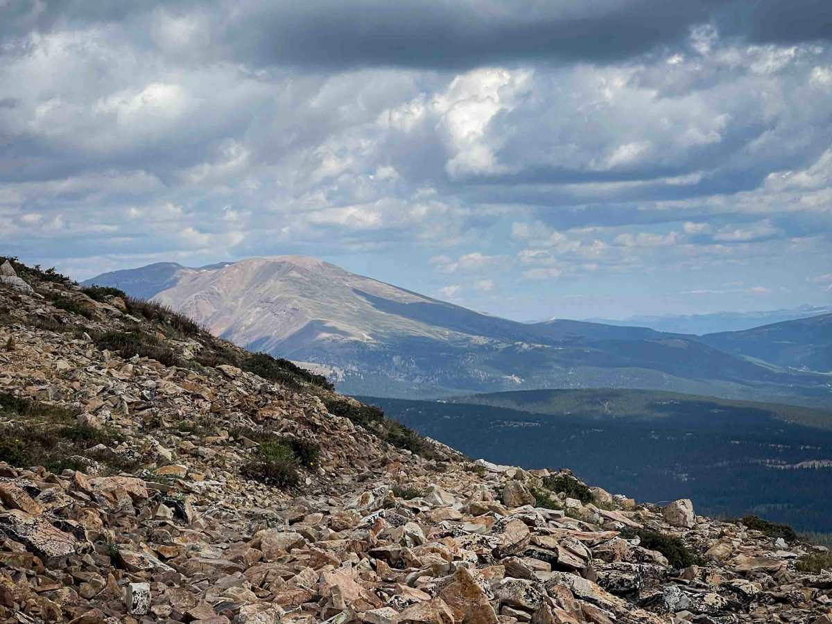 Sheep Mountain Trail #691  trail photo