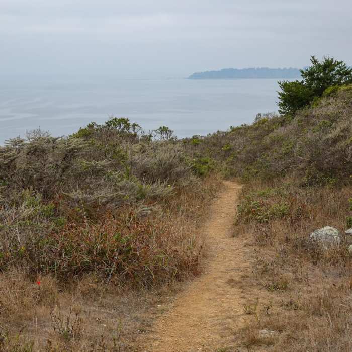 Near Rocky Point Trail
