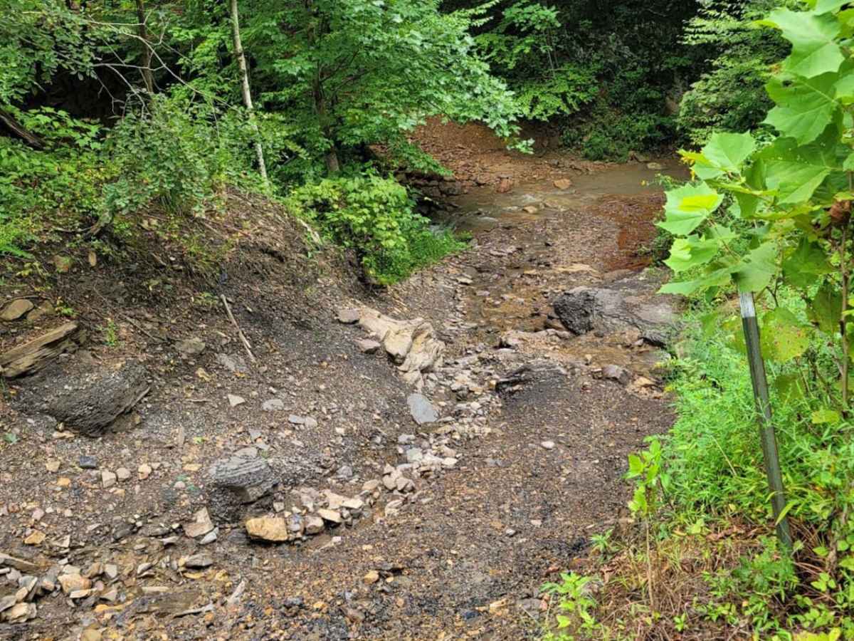 Trail 3 - Differential Dragger photo 2