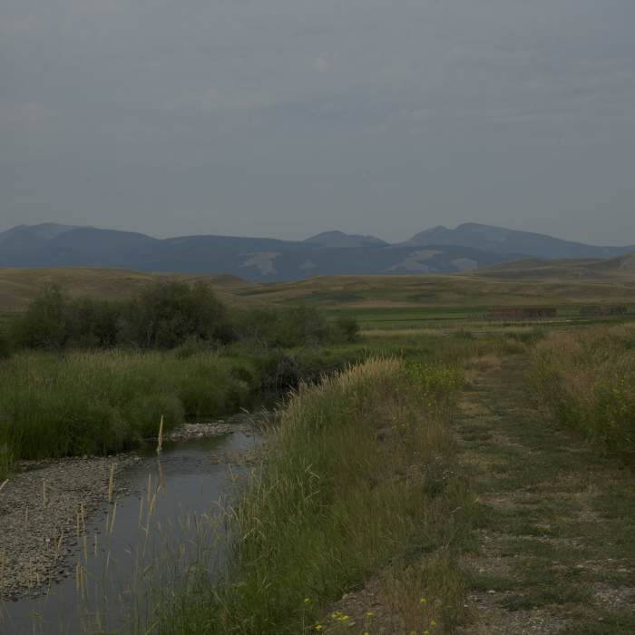 Near Grant-Kohrs Ranch Nature Trail