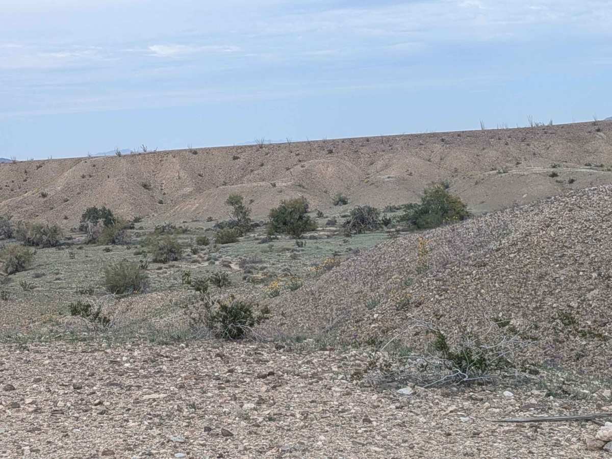 EC1224 photo 3