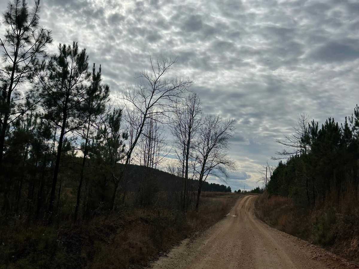 County Road 223 photo 2