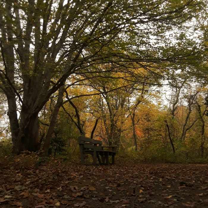 Near Ninigret National Wildlife Refuge