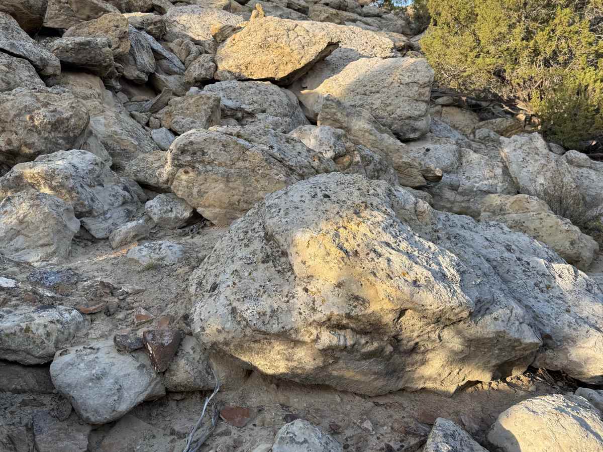 One Mile Trail photo 5