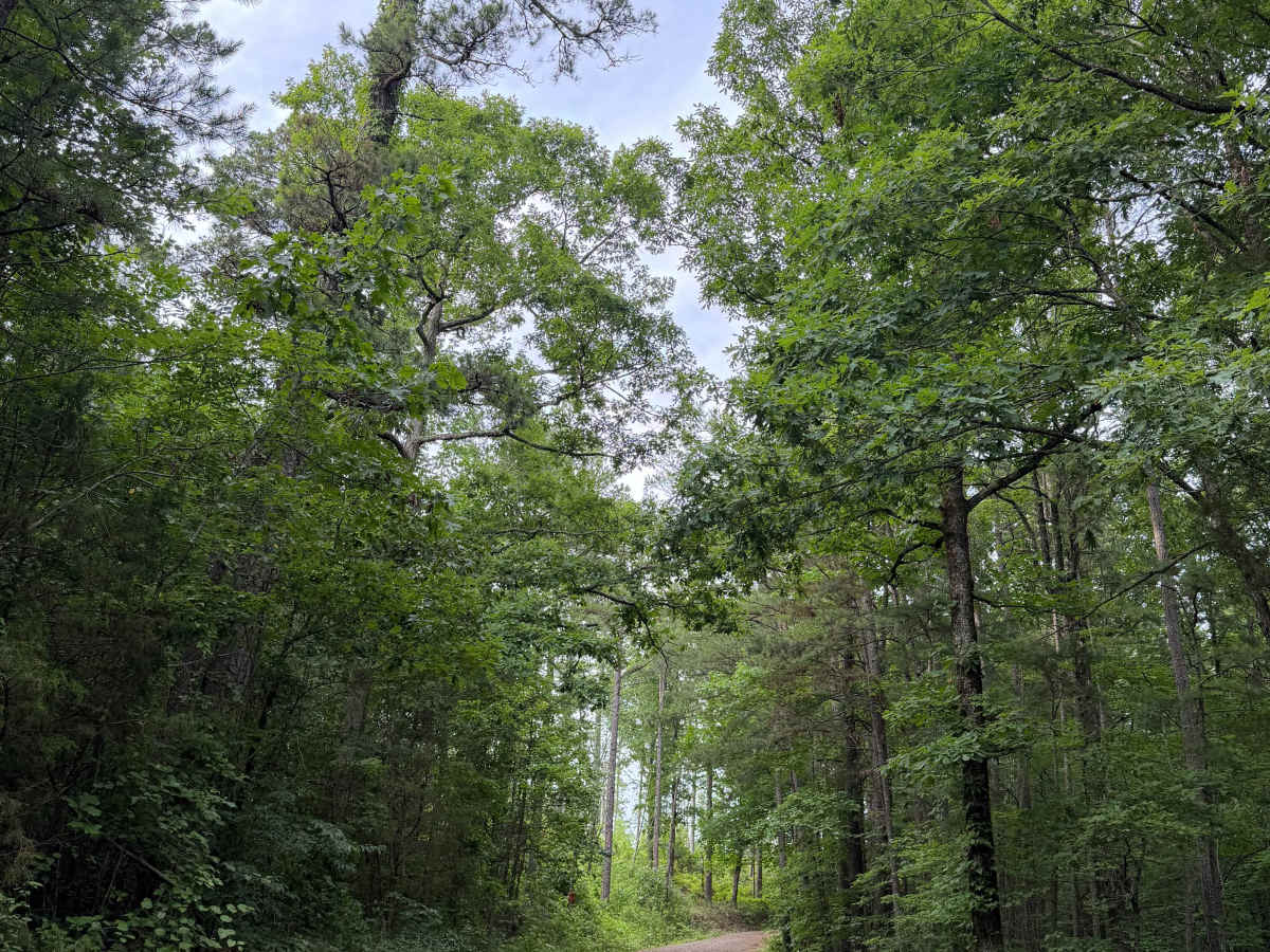 Hagar Crossing photo 4