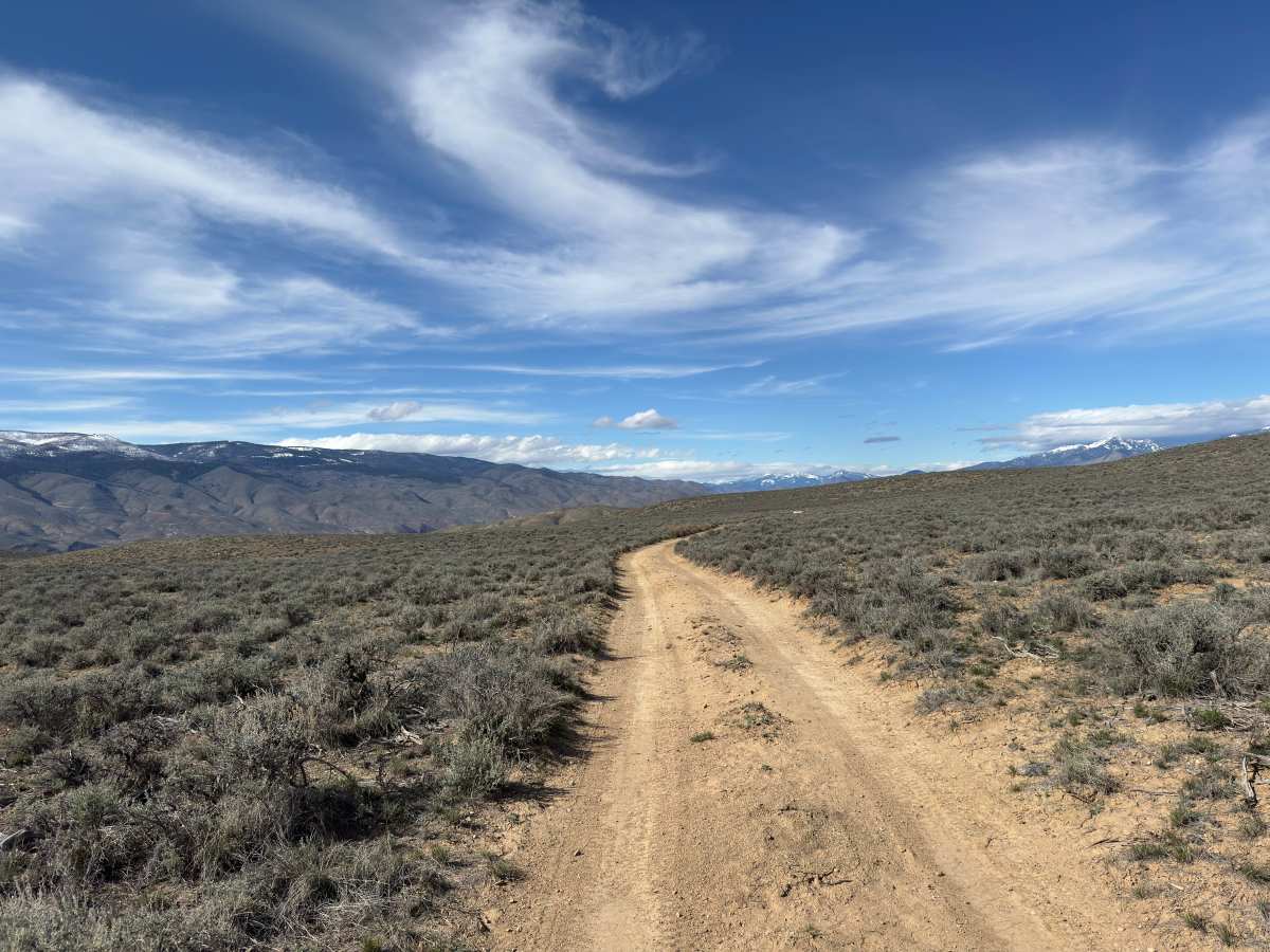 BLM 128 photo 4