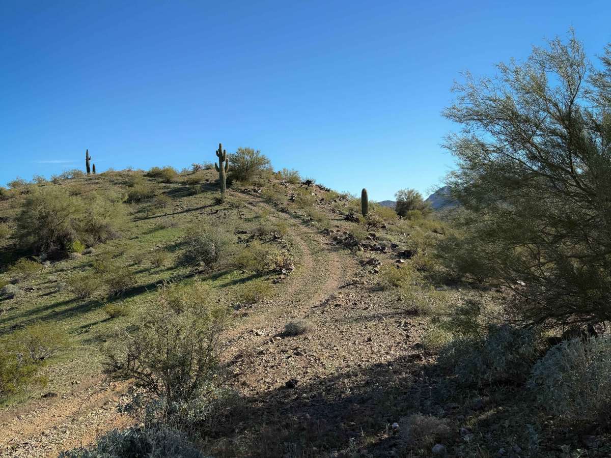 Saguaro Ridge  photo 5