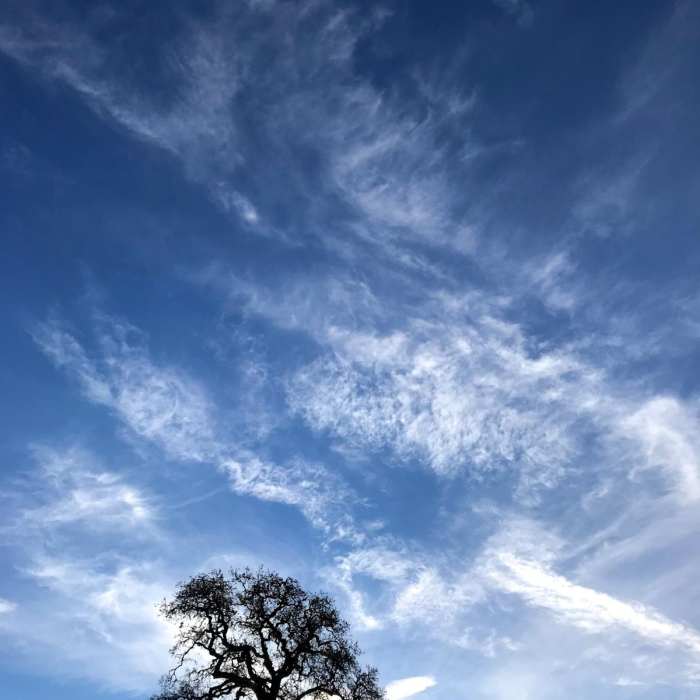 Near Rose Peak via McCorkle Trail + Ohlone Wilderness Trail