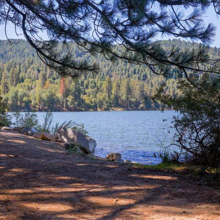 Near Lake Gregory Loop