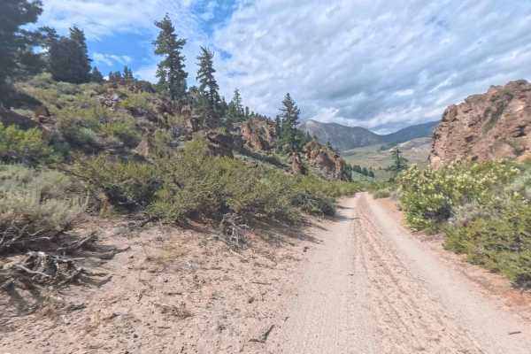 Bishop Tuff Cutoff - FS 4S38A