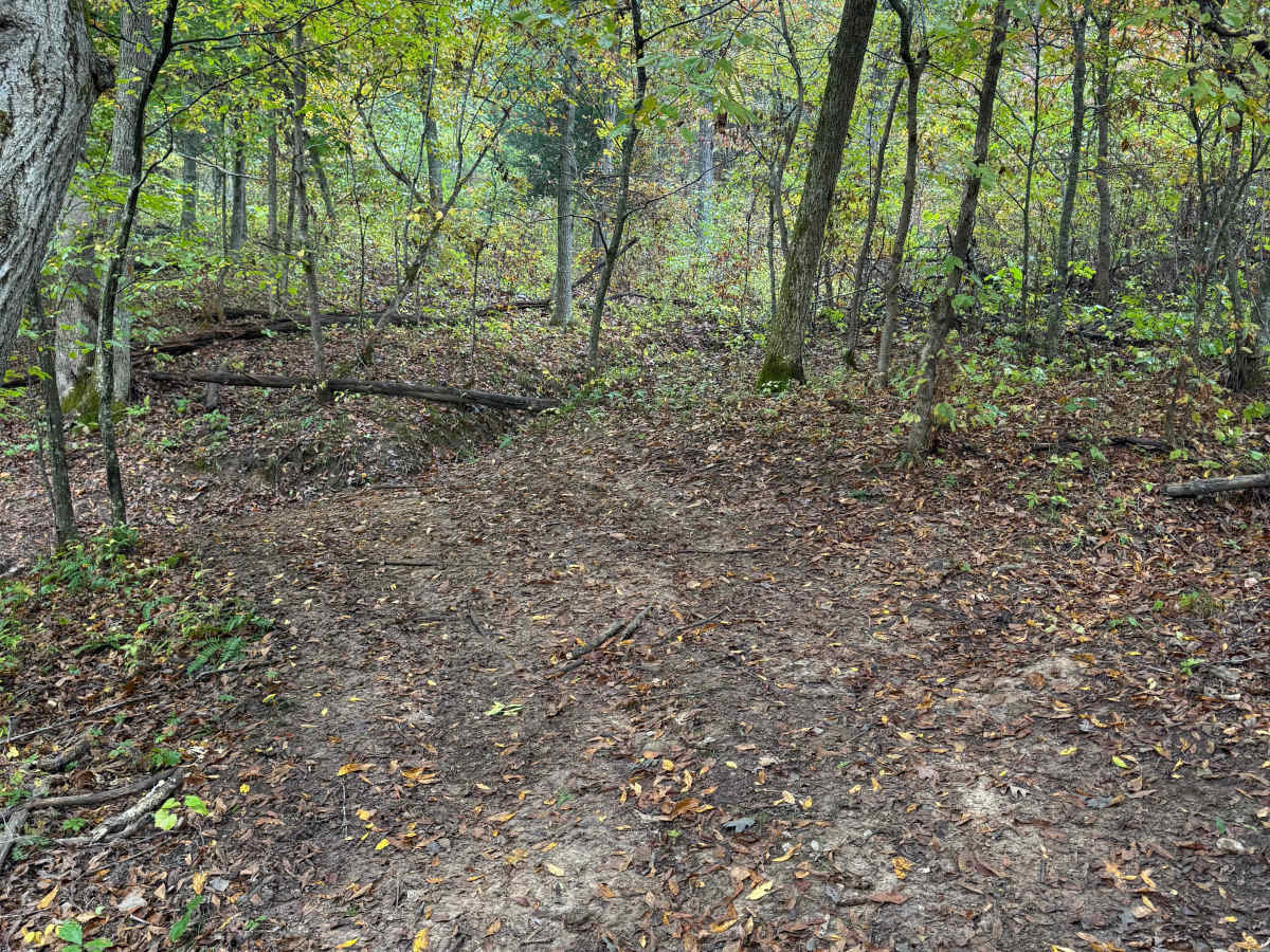 The Beast trail photo