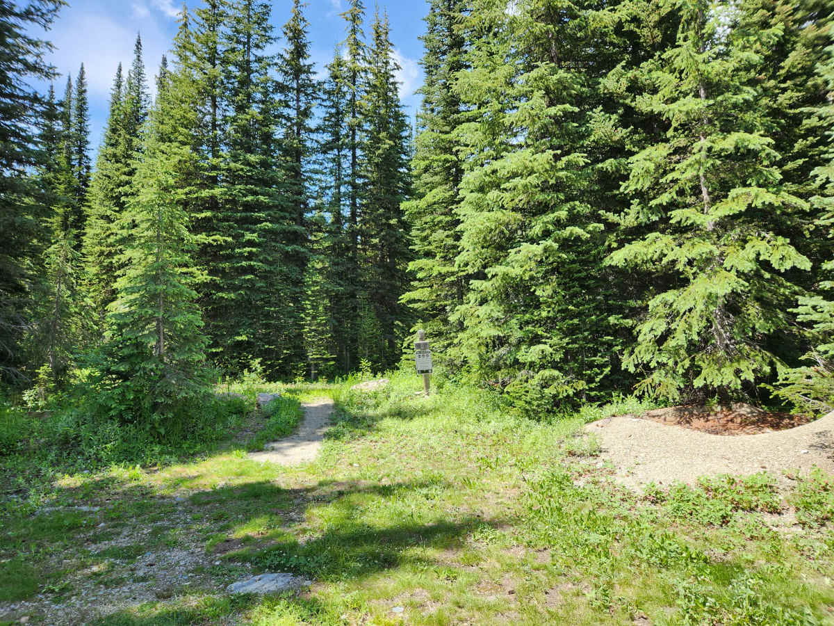 Bluebird Creek photo 5