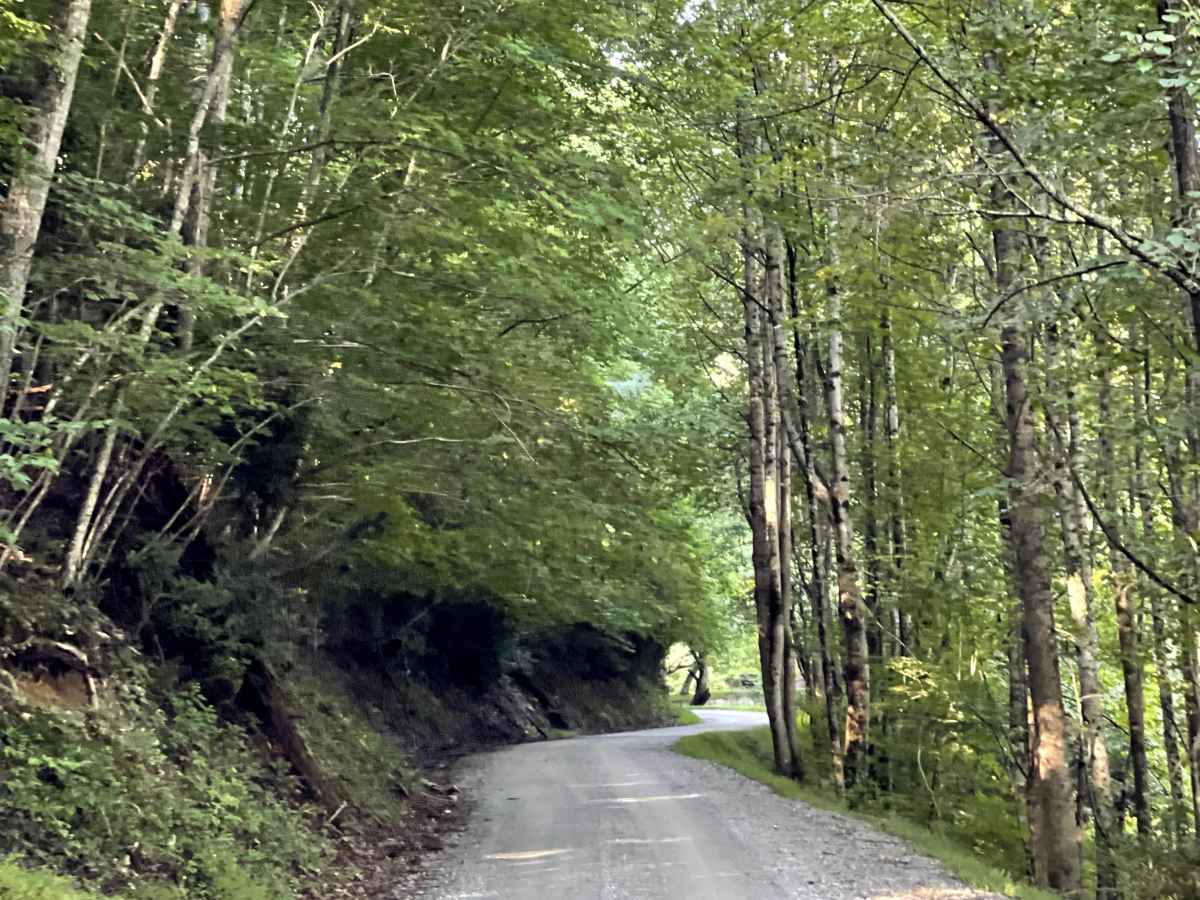 Jake's Mountain Road photo 3