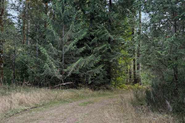 Dugout Ditch Trail