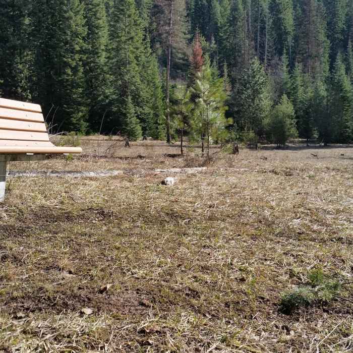 Near Blue Creek Bay Trail (Blue Trail)