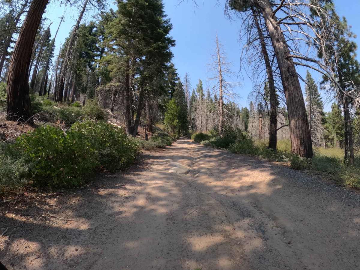 Dobler Meadow - FS 4S031 photo 5