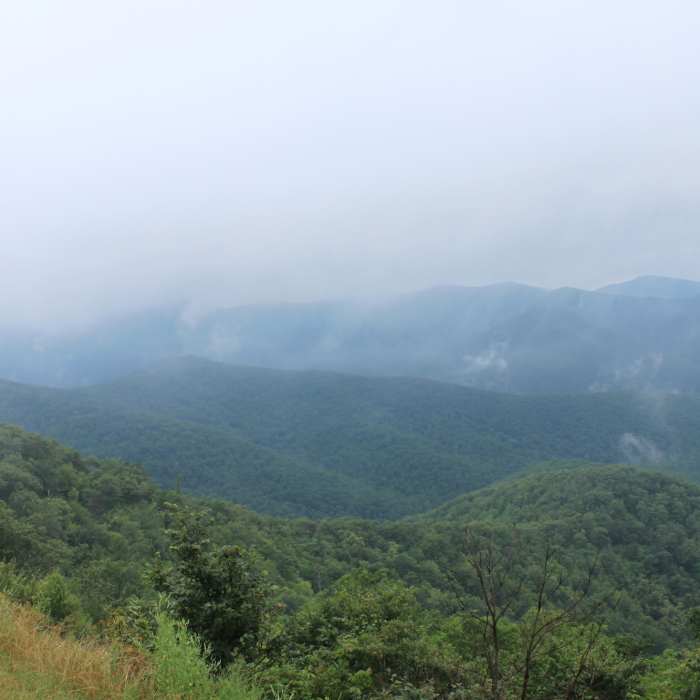 Near Big Run Loop Trail