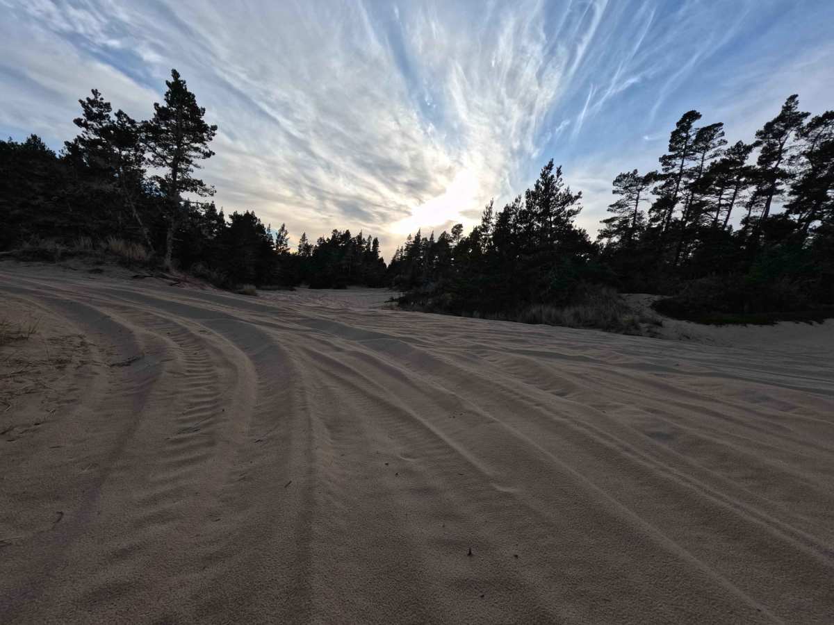 10 Mile OHV Trail photo 6