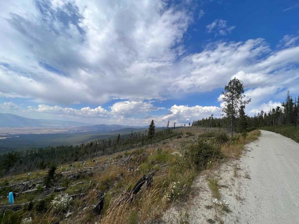Upper Skyline to Cinnabar Saddle trail photo