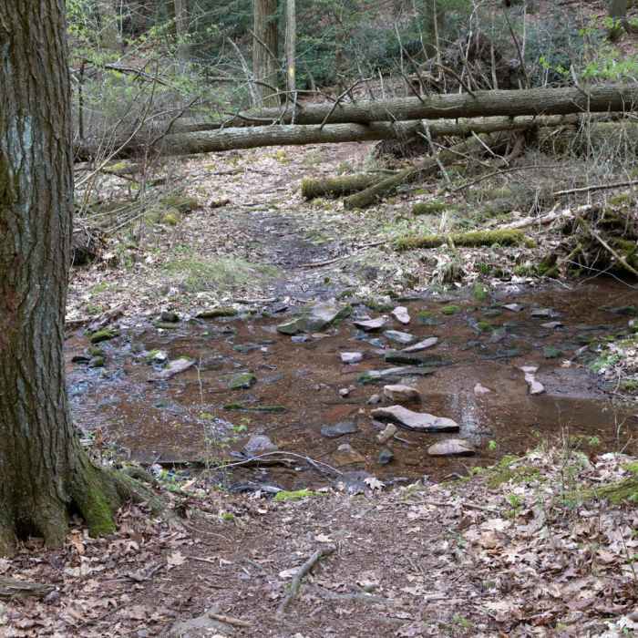 Near Lake View Trail Near Lake View Trail