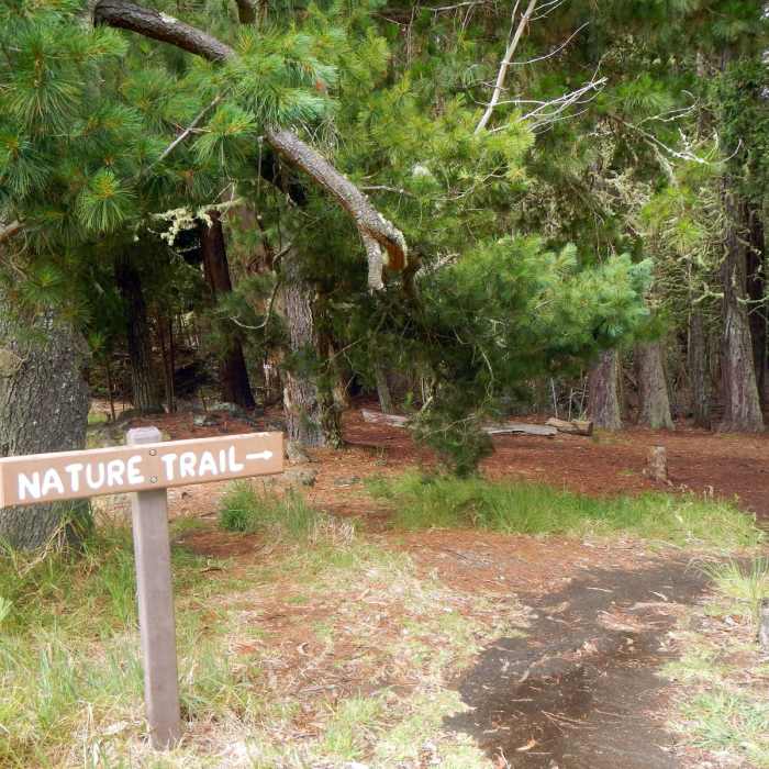 Near Hosmer Grove Near Hosmer Grove