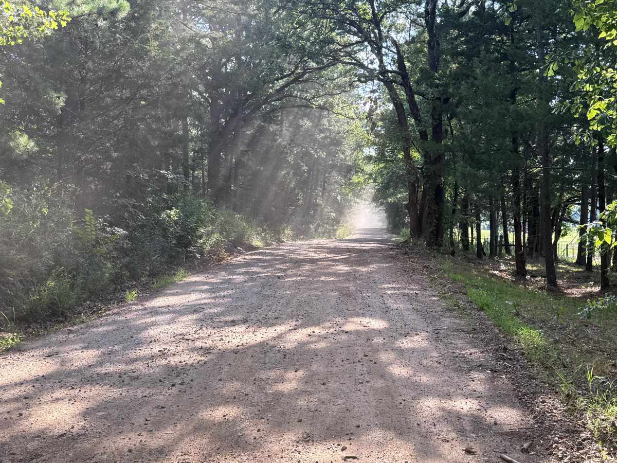 Black Fork Trail trail photo