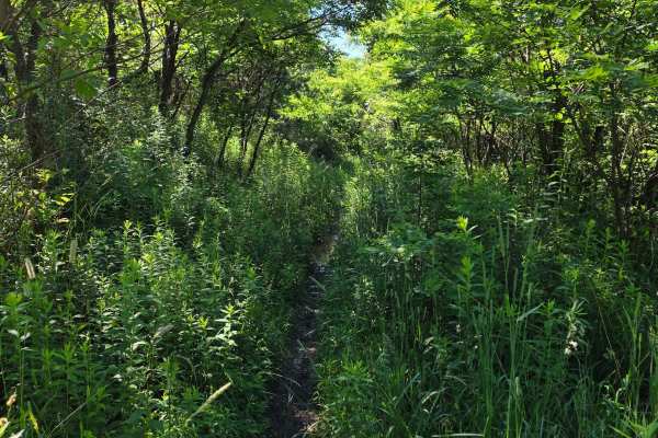 Single Track R