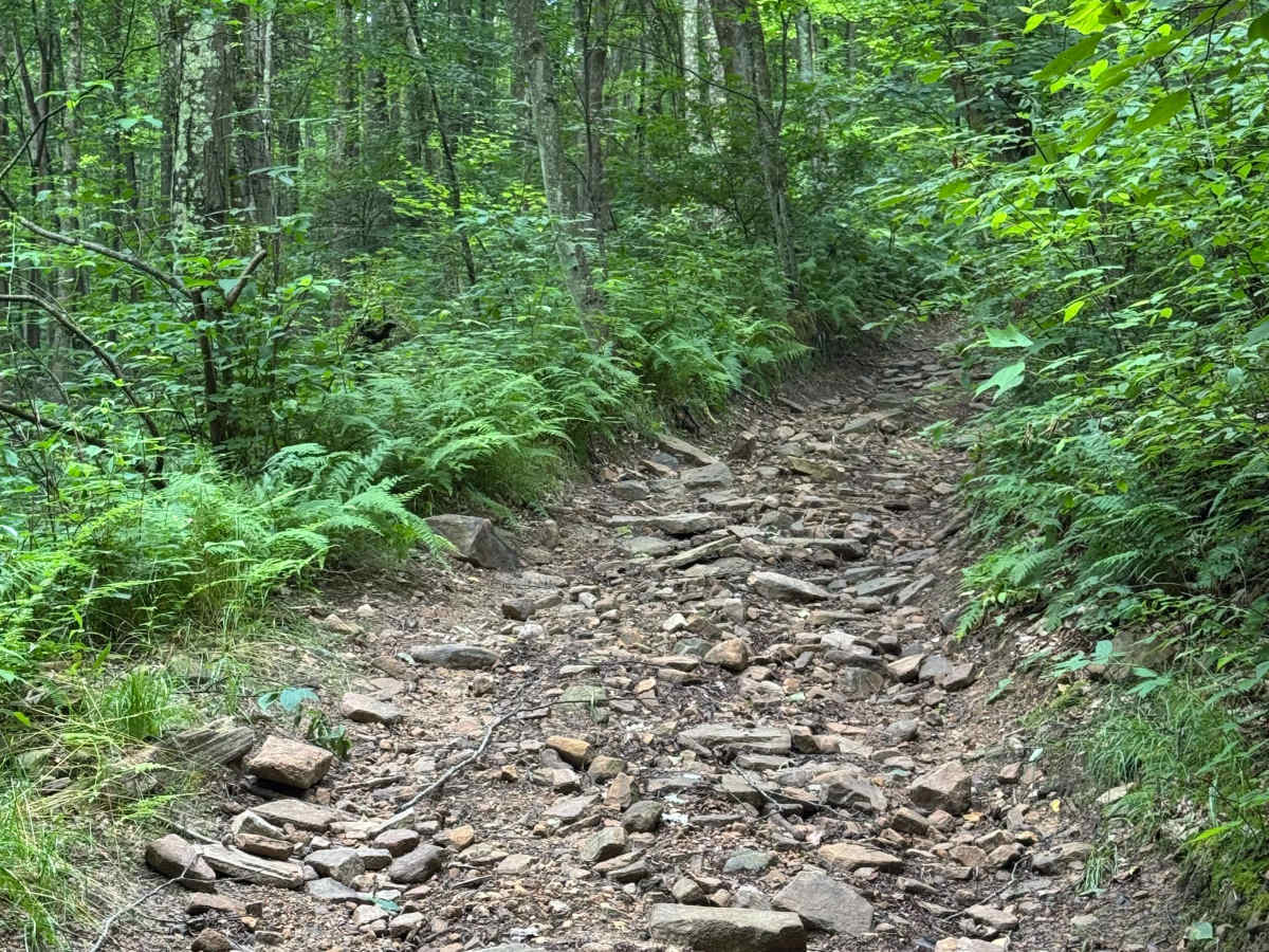 Trail 30 photo 5