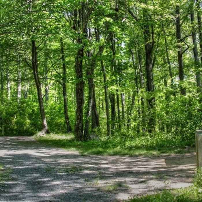 This is the "3 fire roads" junction - Old Rag, Weakley Hollow and Berry Hollow. Near Old Rag Road
