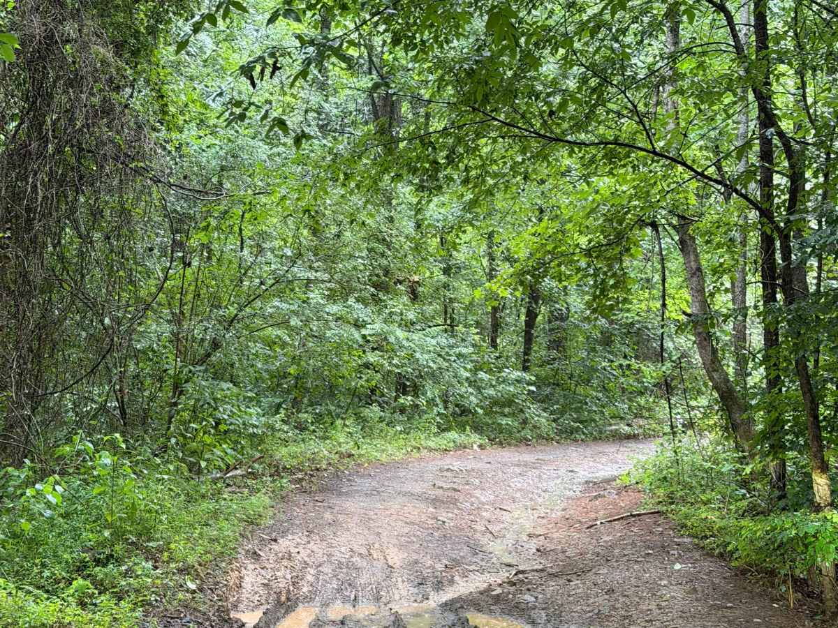 Bayou Run trail photo