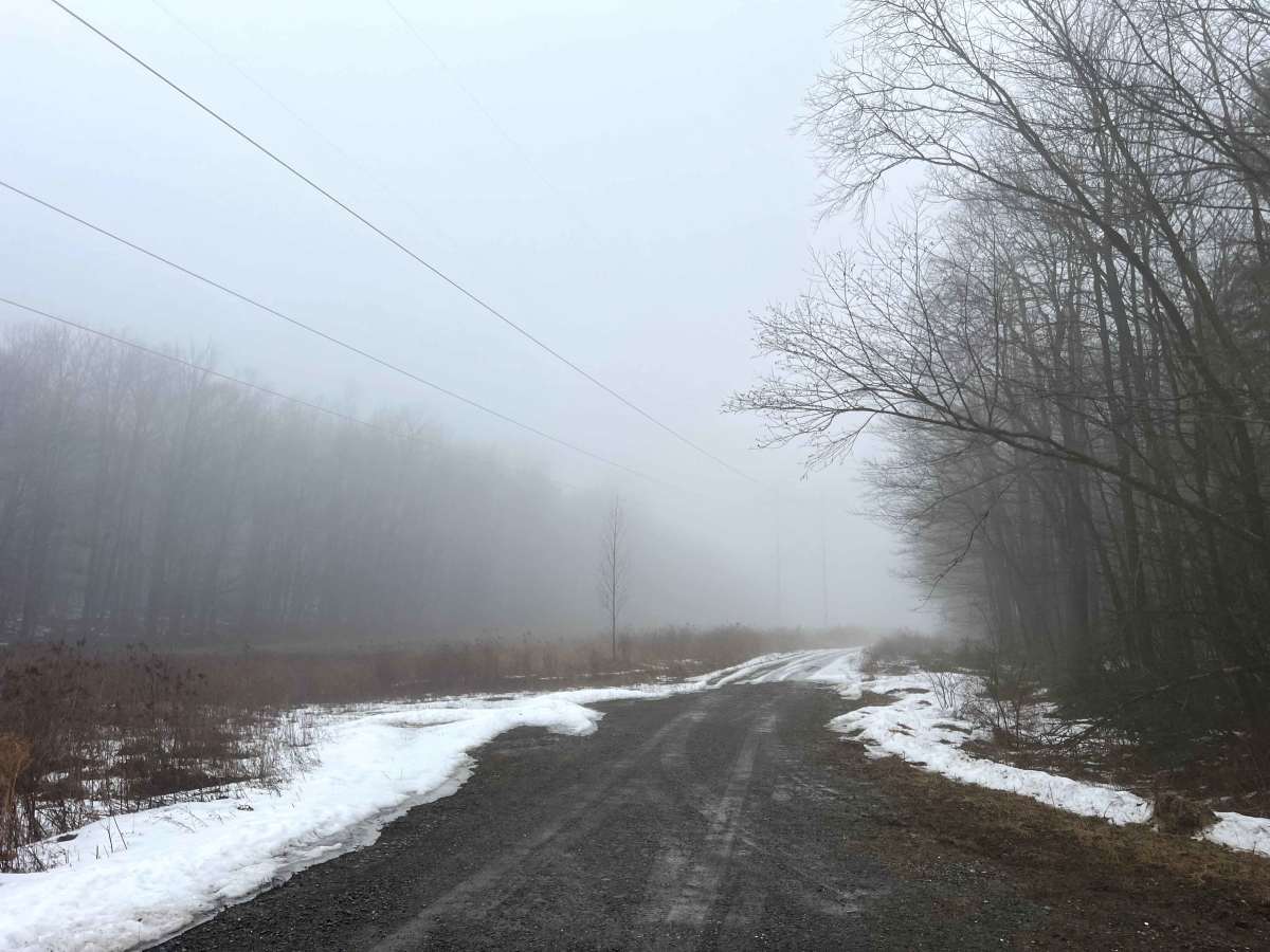 Powerline Road photo 2