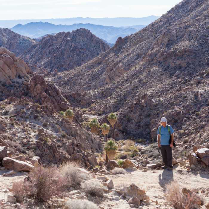 Near Lost Palms Oasis