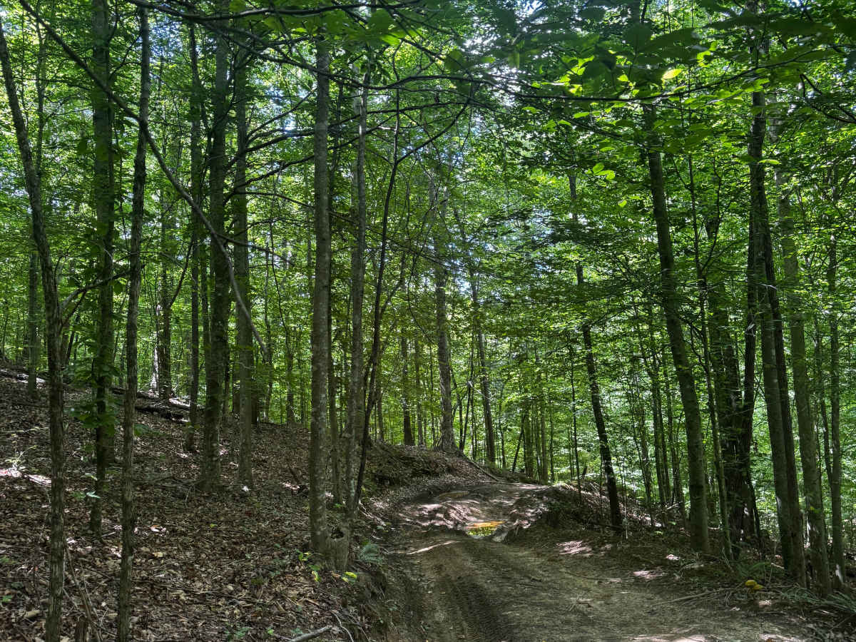 Trail 11A photo 5