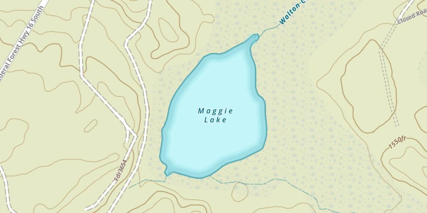 Maggie Lake