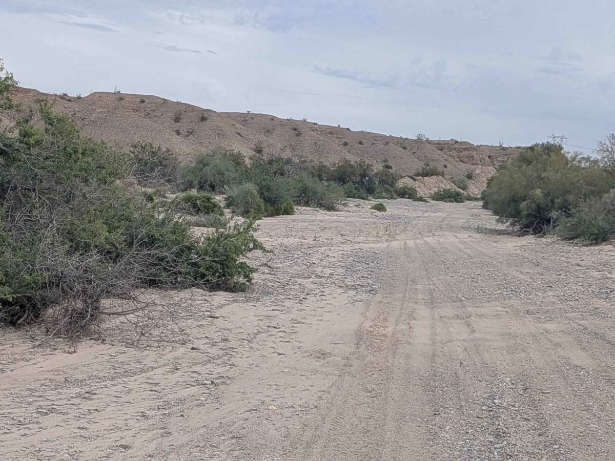 EC1229 photo 6