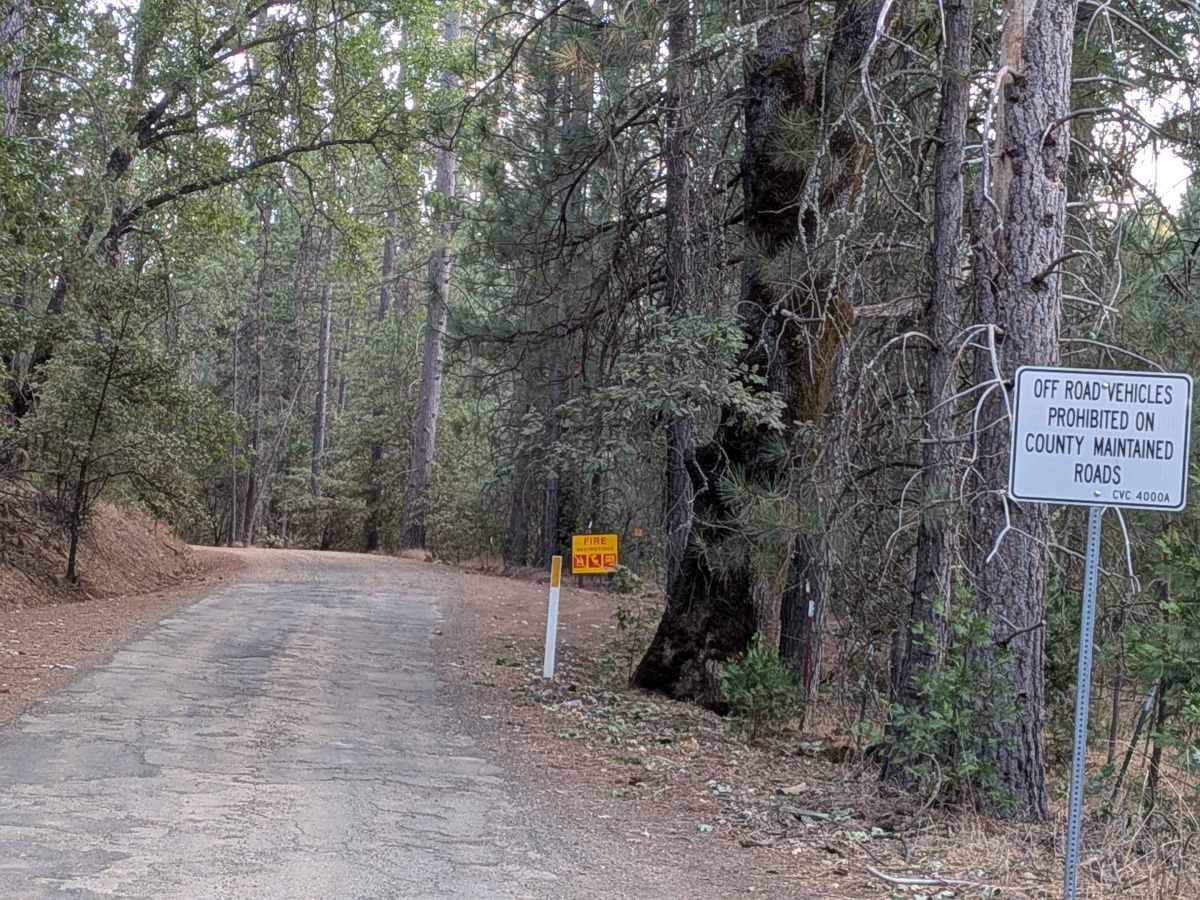Bucks Meadow Road trail photo