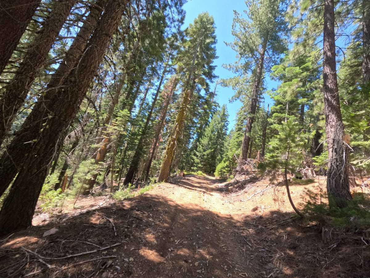 Claycroft Ridge Off-Highway Vehicle Trail - Lower -  FS 11E18 photo 5