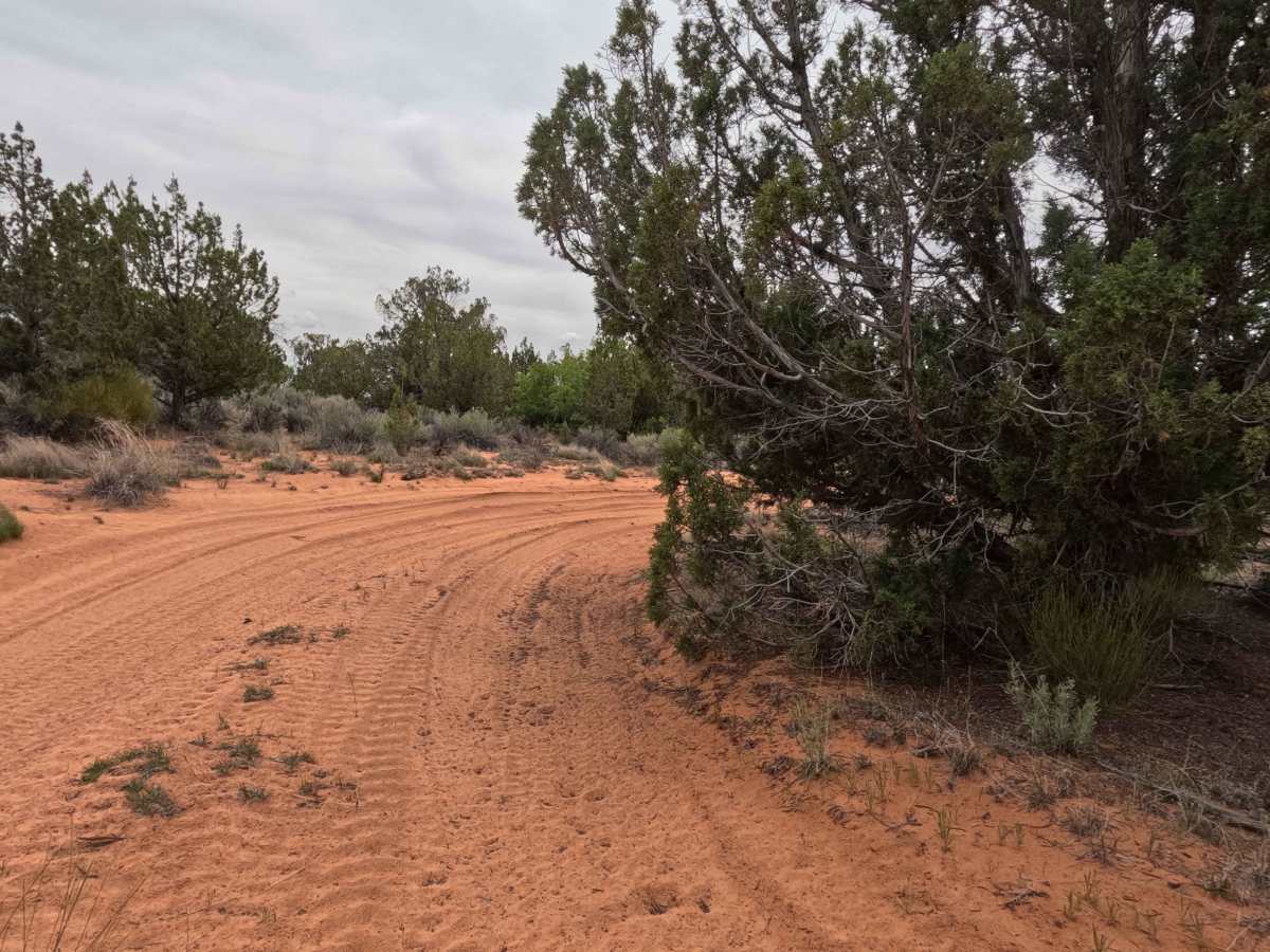 BLM 61G photo 5