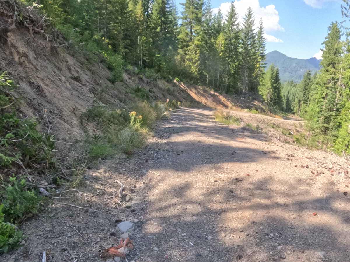 FS 2047772 trail photo