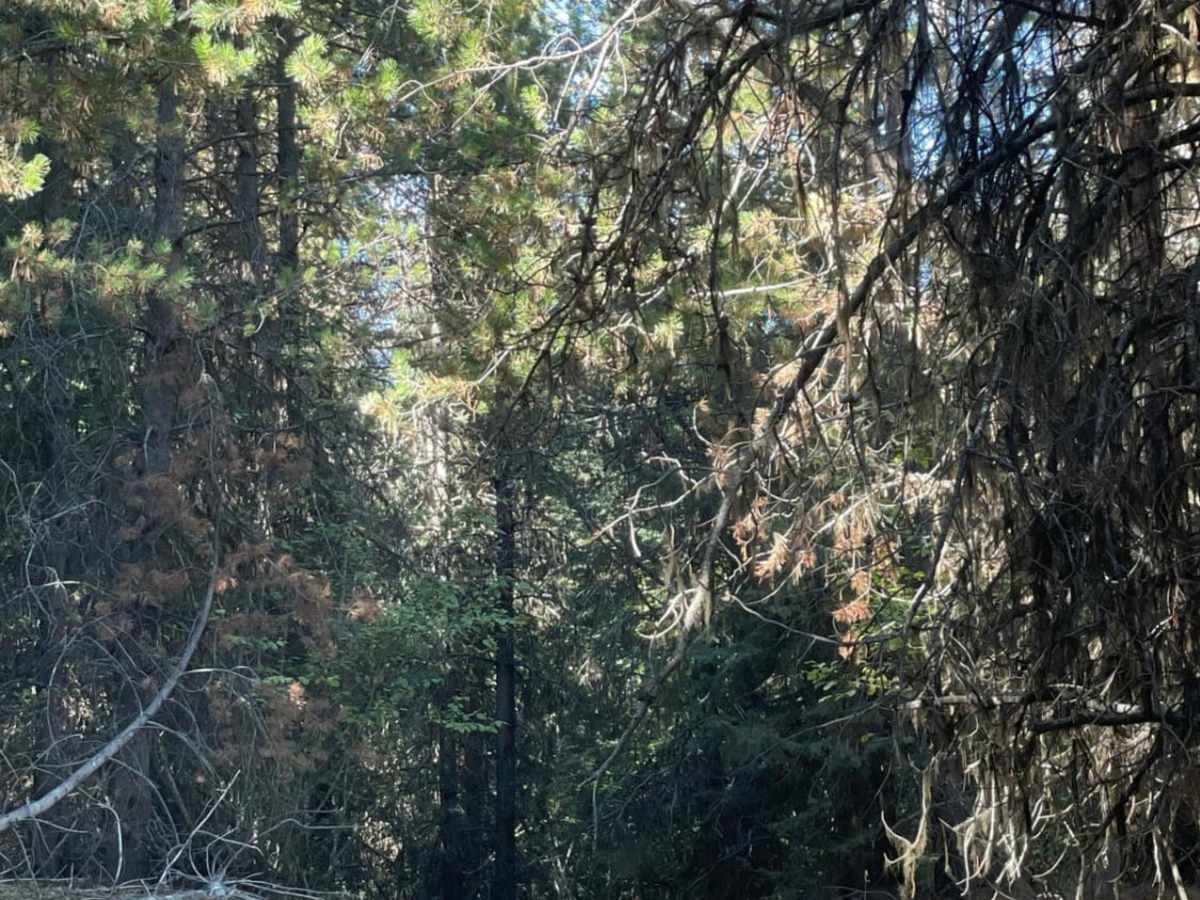 Tight Shortcut photo 3