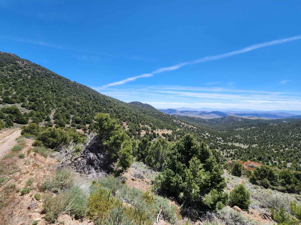 Rawe Peak East Trail trail photo
