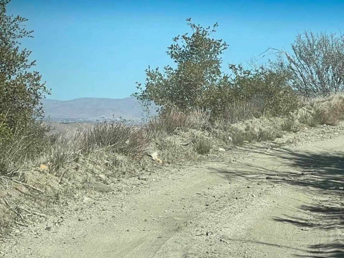 Rainbow Trail - FS 2N59 photo 4